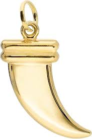 Pendentif Véritable Confiance en Dent de Requin - Élégance et Protection