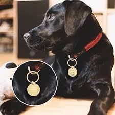 Pendentif Personnalisé en Acier Inoxydable - Un Hommage à Votre Compagnon à Quatre Pattes