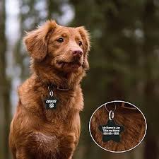 Pendentif Personnalisé avec Gravure de Chien - Un Bijou Unique