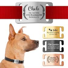 Médaille Chien Personnalisée Avec Gravure - Un Pendentif Unique pour Votre Compagnon