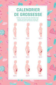 Calendrier Grossesse Mensuelles Activités : Votre compagnon idéal pour chaque étape de la grossesse