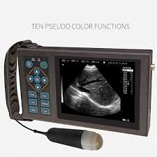 Échographe Vétérinaire Déchographie Grossesse - Précision et Confiance