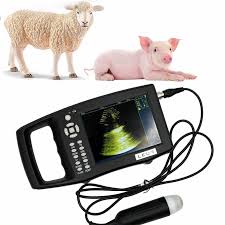 Déchographie Vétérinaire : Échographe Ultrasons Rechargeable pour une Surveillance Précise