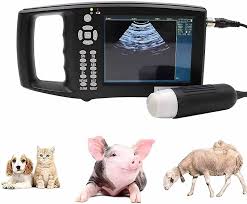 Appareil d'Échographie Vétérinaire Multifonctionnel pour Grossesse