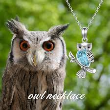 Collier Sterling avec Pendentif Hibou en Cristal - Élégance et Symbolisme