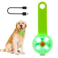 Pendentif Lumineux pour Chien - Sécurité et Style