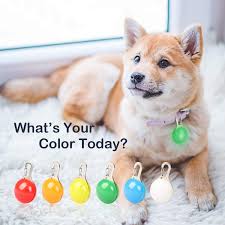 Pendentif Lumineux pour Chiens - HOTERB