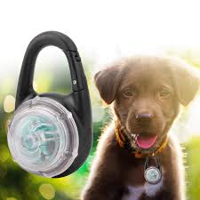 Pendentif Lumineux pour Chien - Éclairez Vos Soirées