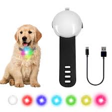 Pendentif Lumineux Rechargeable pour Chien - Élégance et Sécurité