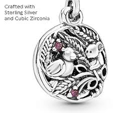 Charm en Argent pour Femme - Élégance et Personnalisation