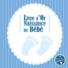 Livre D'Or Naissance : Un Souvenir Inoubliable de la Maternité