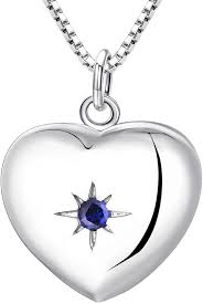 YL Collier Argent Médaillon Pendentif - Élégance et Souvenirs